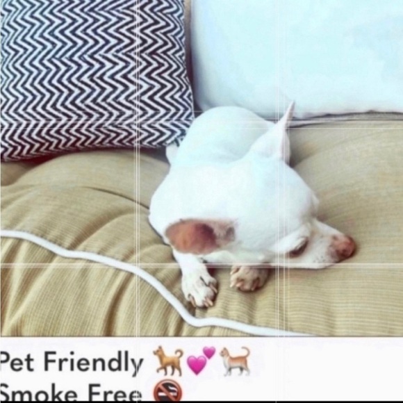 Cancun Purple Embroidered Eyelet Sleeveless Top - Picture 8 of 8